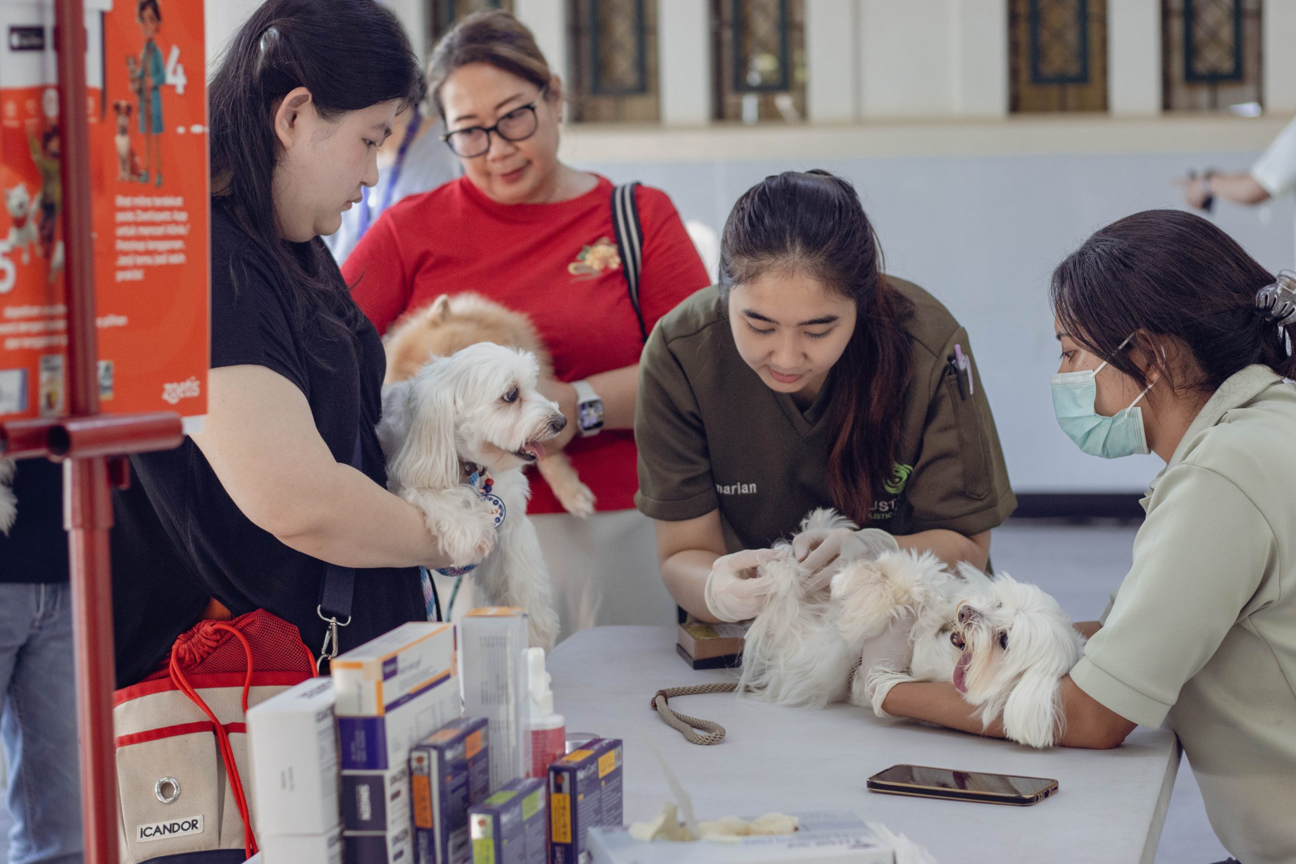 Pilih Tim Meong atau Tim Guguk? Dilema Calon Pawrents Baru!