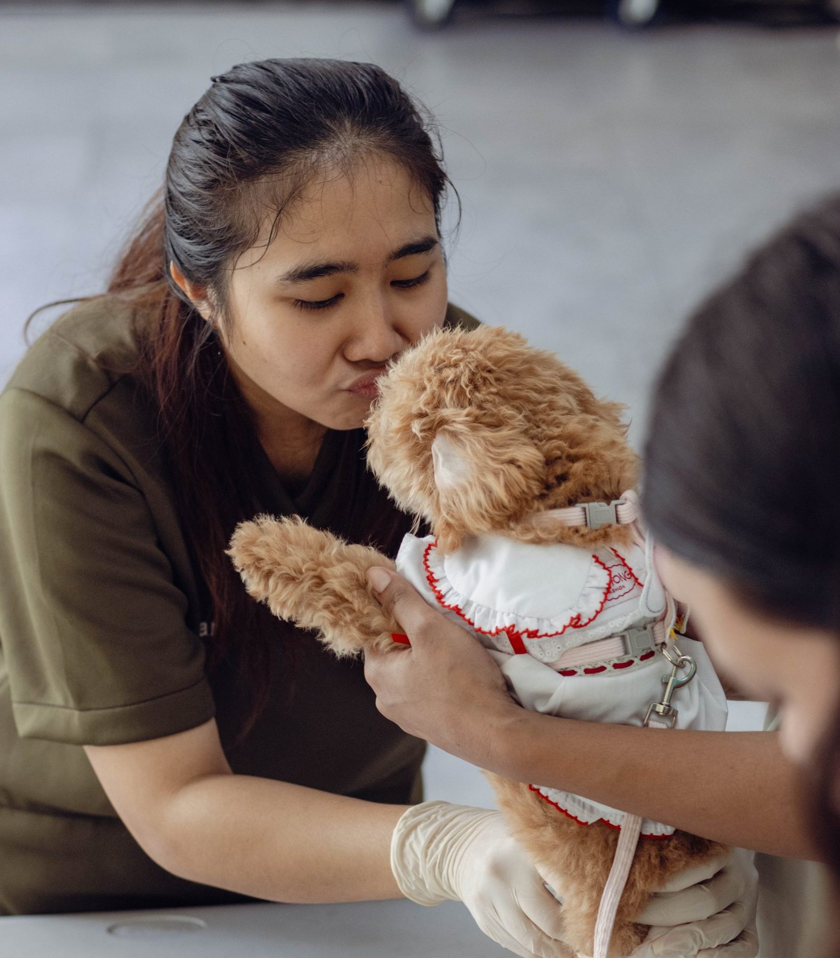 5 Alasan Mengapa Pemeriksaan Rutin ke Dokter Hewan Itu Wajib (Bukan Opsional!)