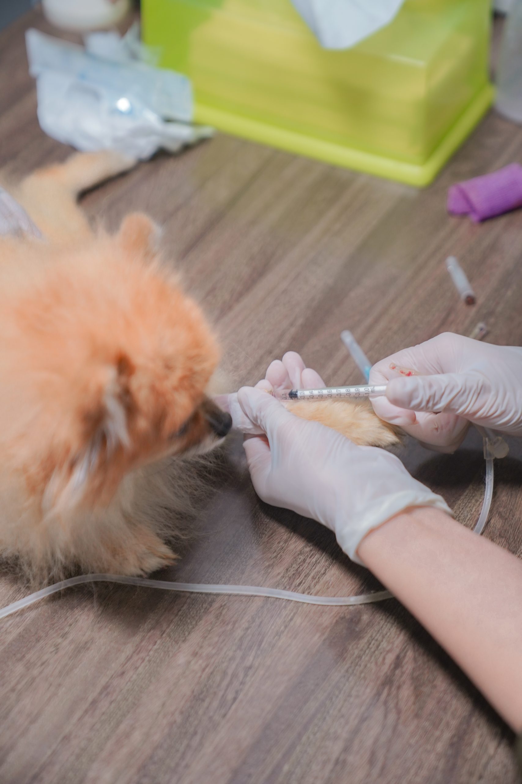 Waduh, Anabulku Kenapa?! Kenali Tanda Darurat Sebelum Terlambat!